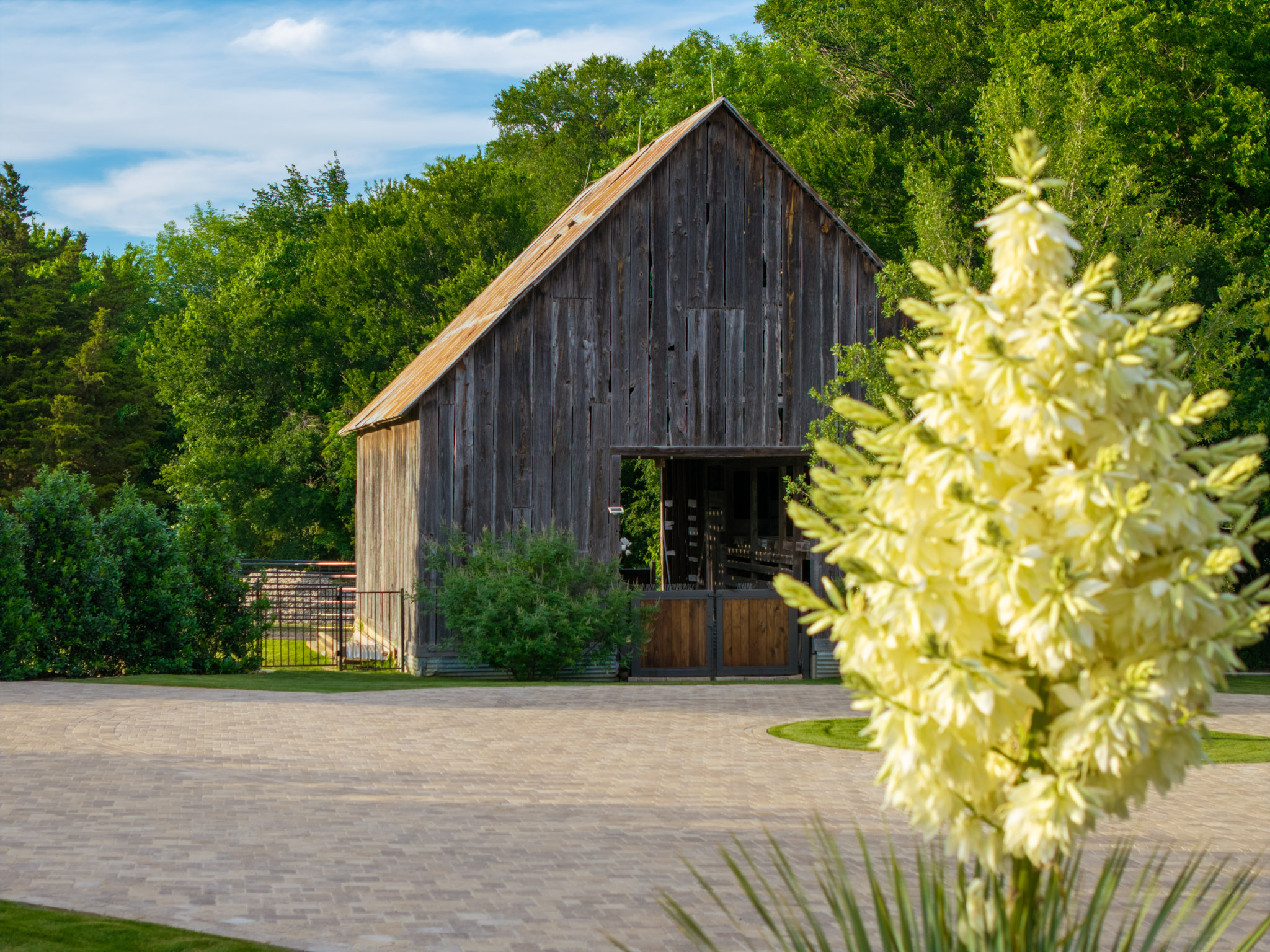 Landscaped driveway leading to rustic barn on residential property in Weston, Texas