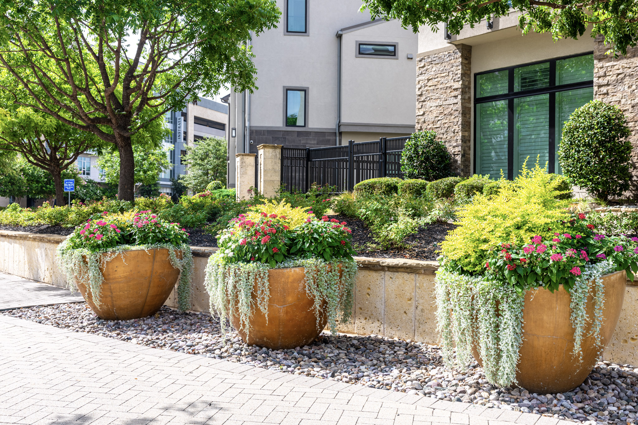 Three large planters with pink flowers and cascading foliage.