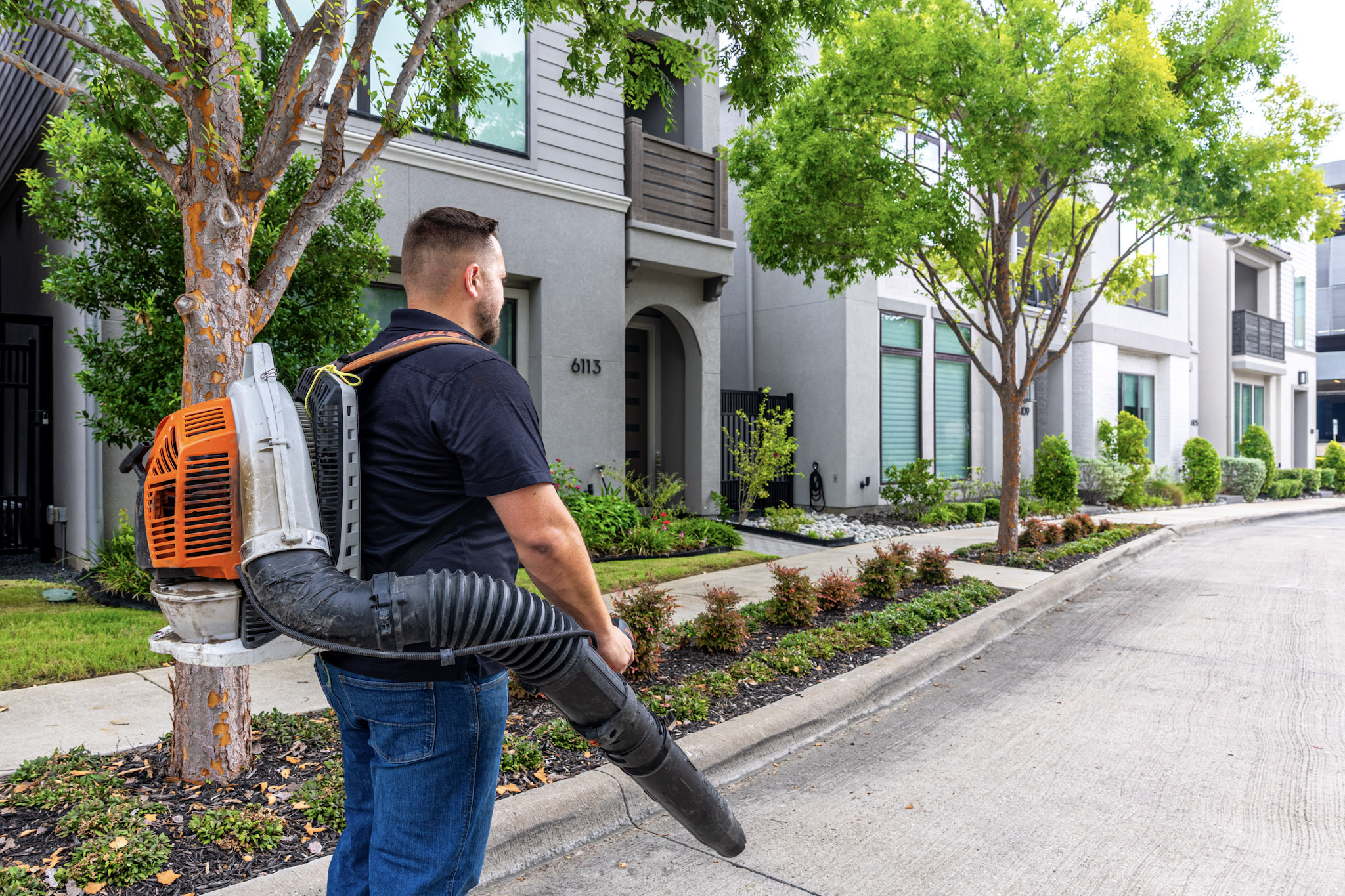 Landscaping professional with backpack blower at a Plano residential property.