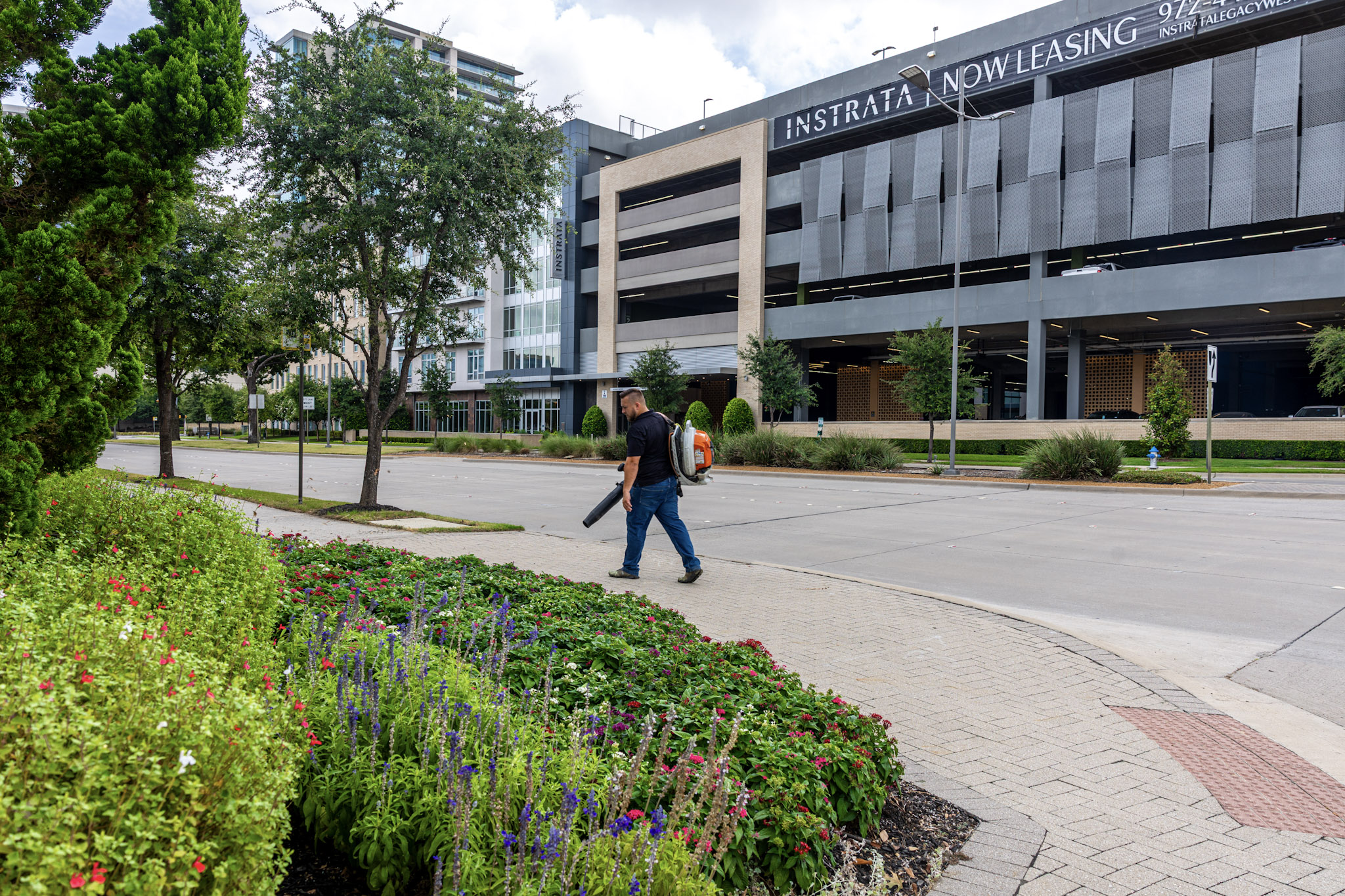 Landscaping worker with backpack blower walking beside colorful flower beds.