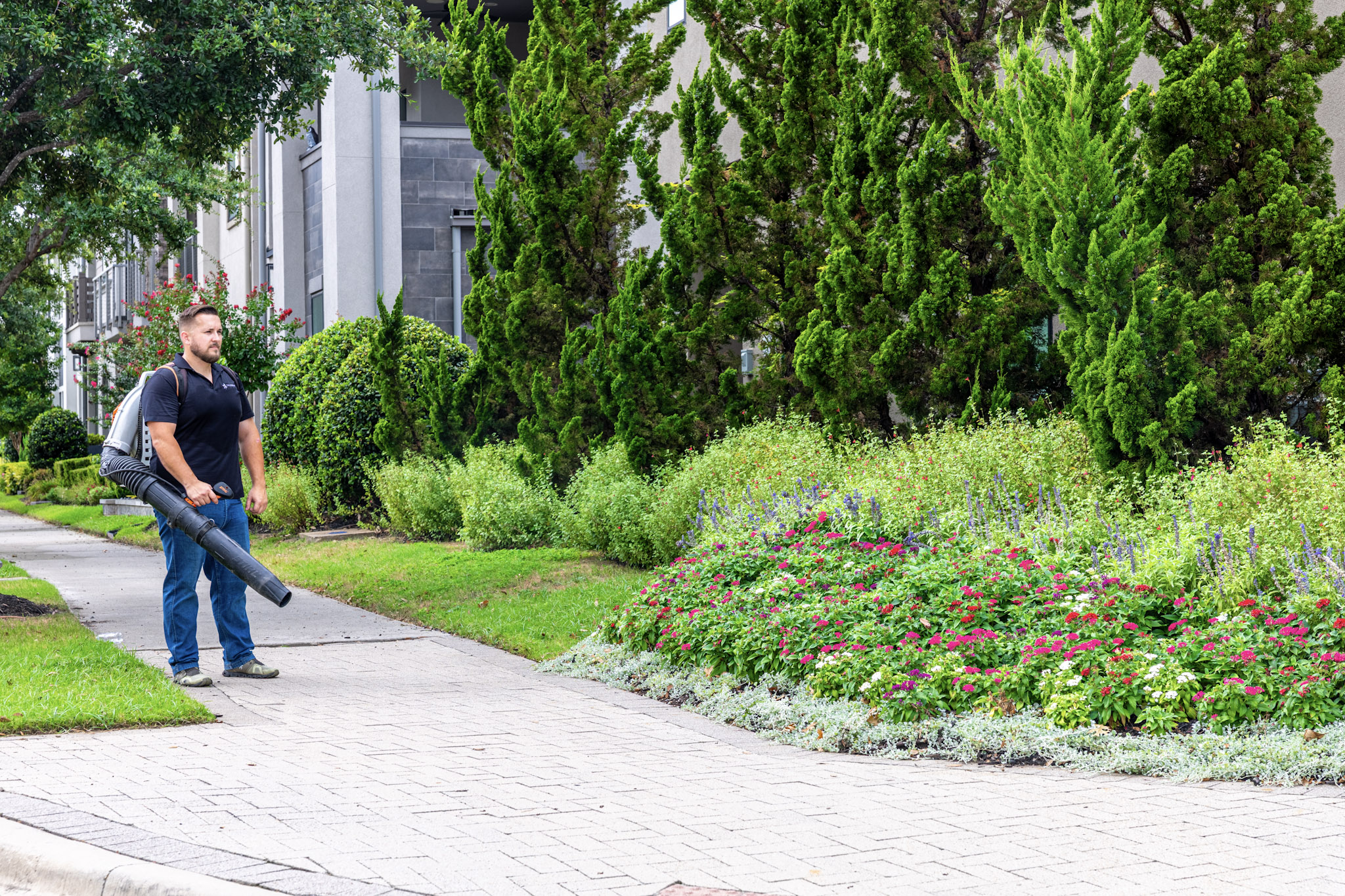 Landscaping professional beside colorful flower beds and mature evergreen trees.