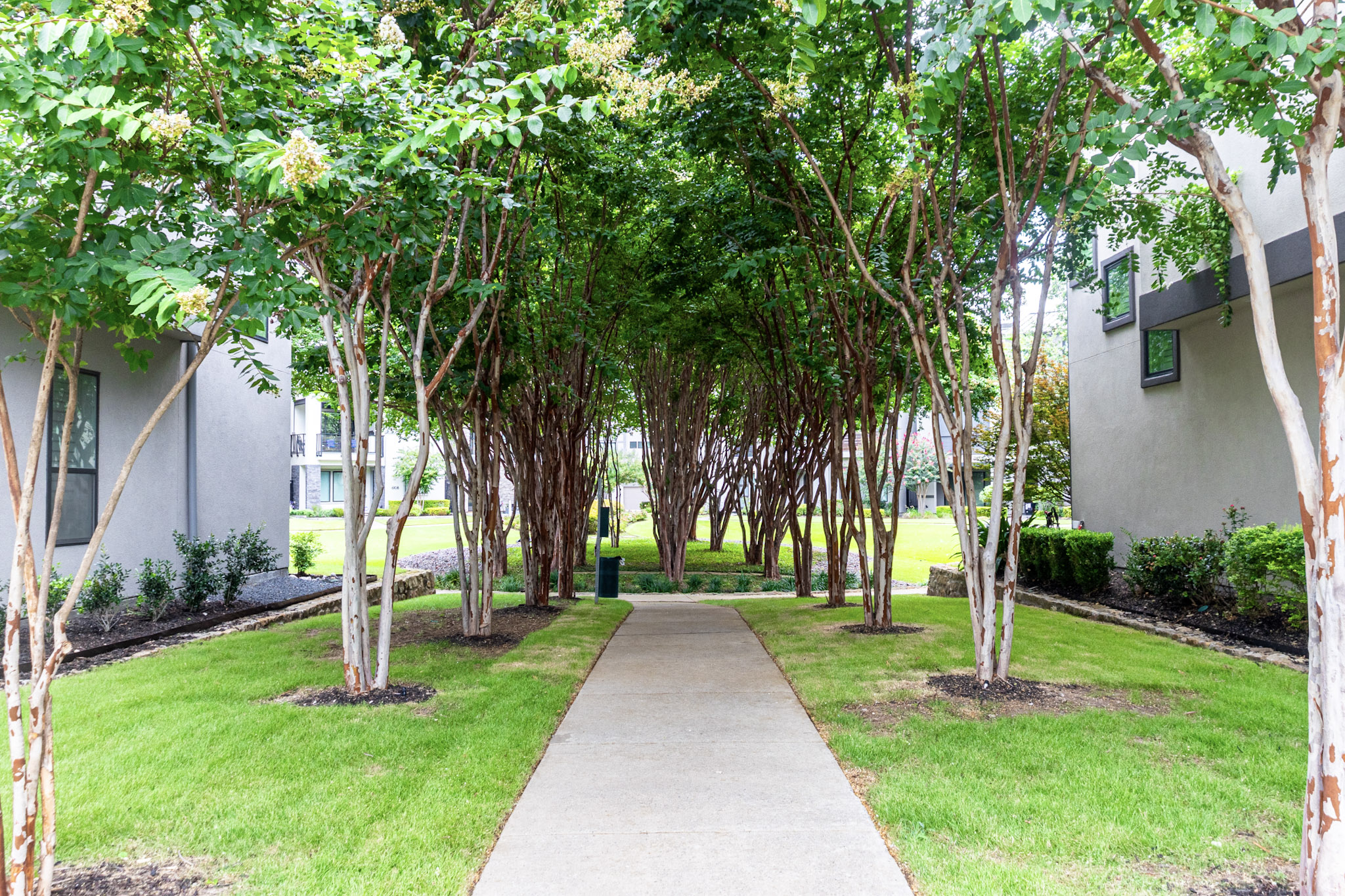 Tree-lined walkway with maintained grass between residential buildings.