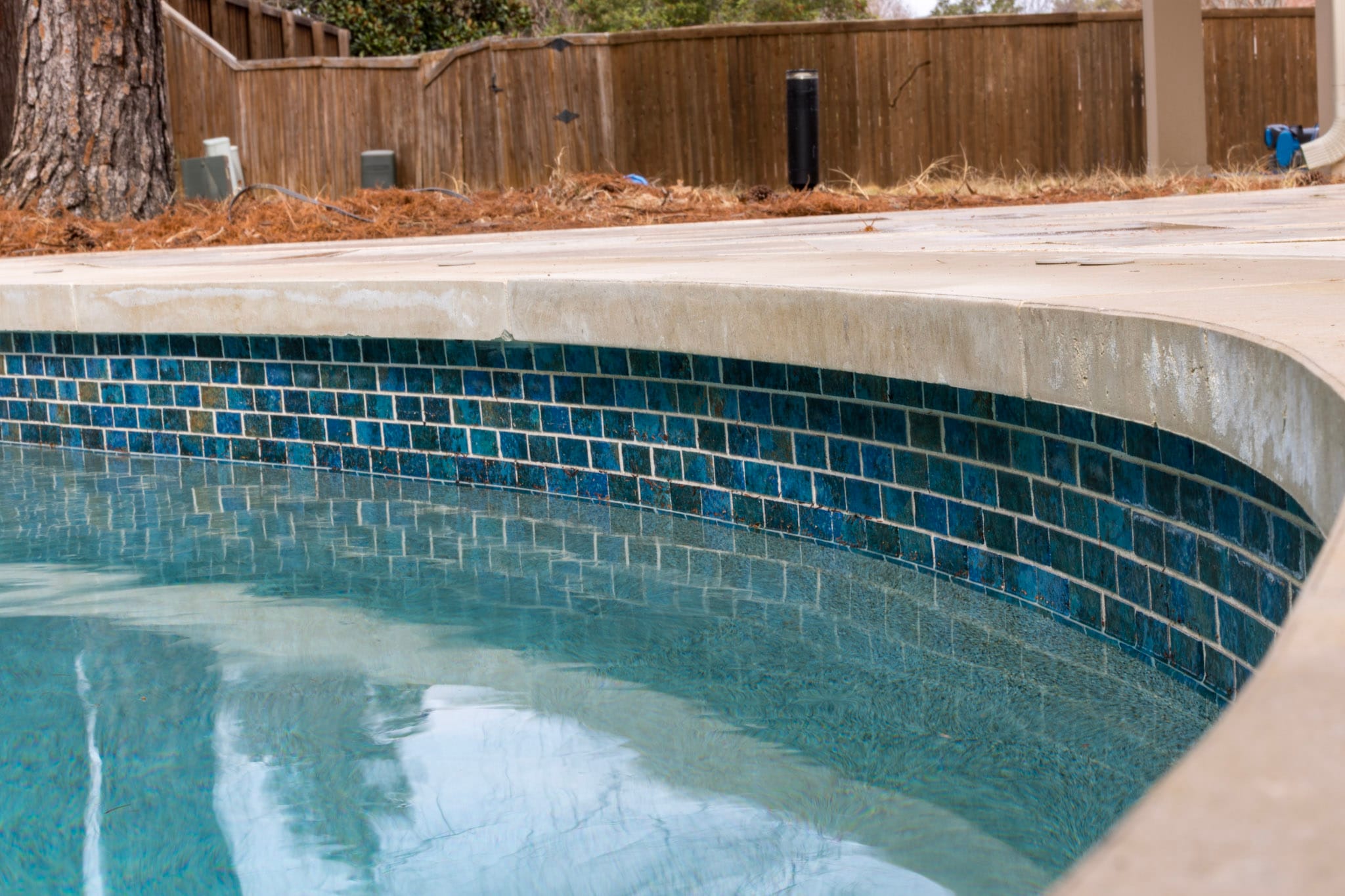 Curved pool edge with blue waterline tile and light coping